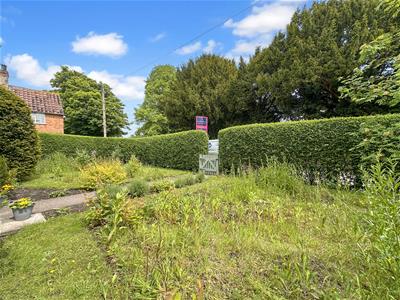 Picture 21